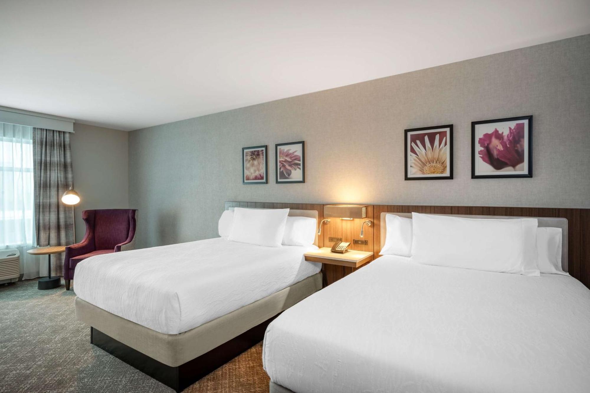 Hilton Garden Inn Boston Logan Airport מראה חיצוני תמונה